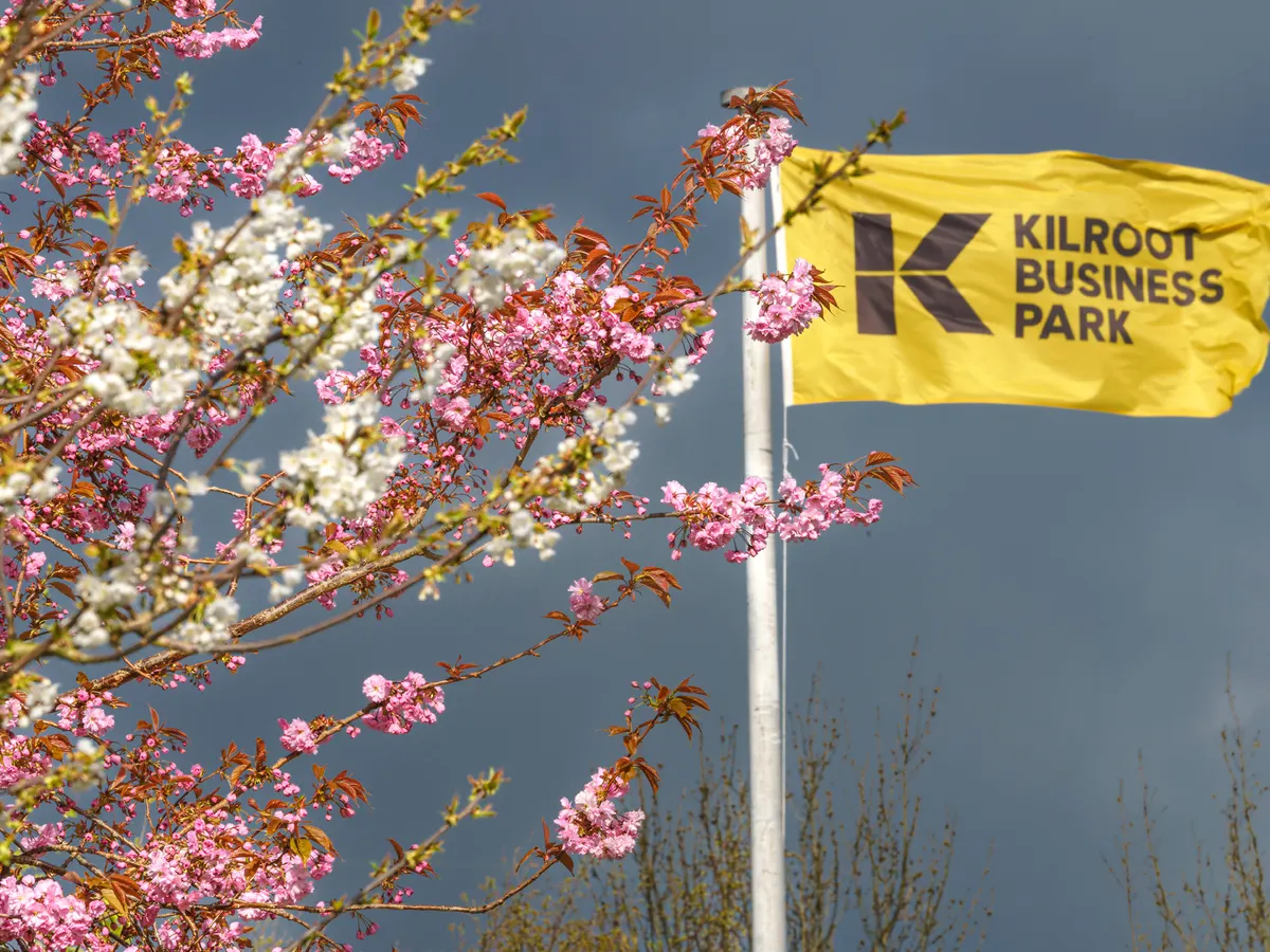 Kilroot Business Park grounds