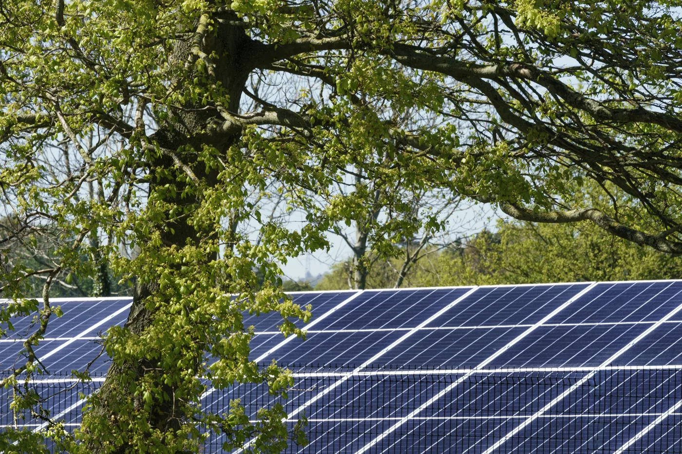 The 1MW on-site solar farm at Kilroot Business Park